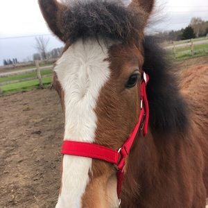 Meet your Posher, Tom